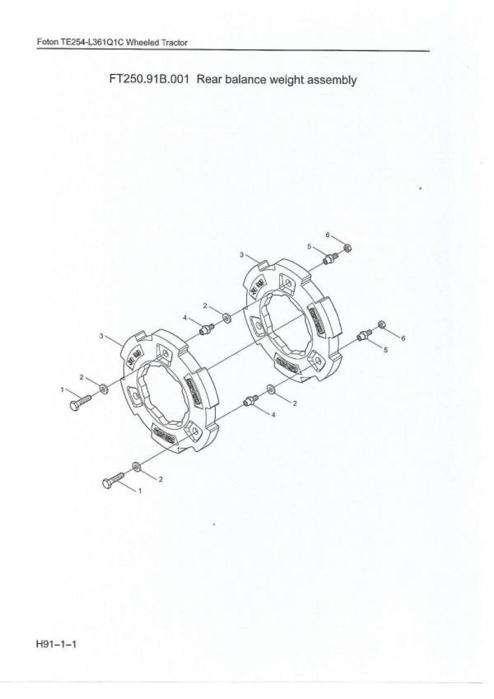 Radgewicht TE254  31 kg